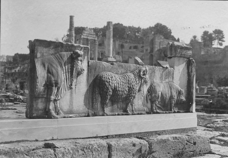 015867 - monumento - Foro Romano, Plutei di Traiano, il rilievo con il condono dei debiti, gli animali del sacrificio (foto Brunner Como); senza negativo