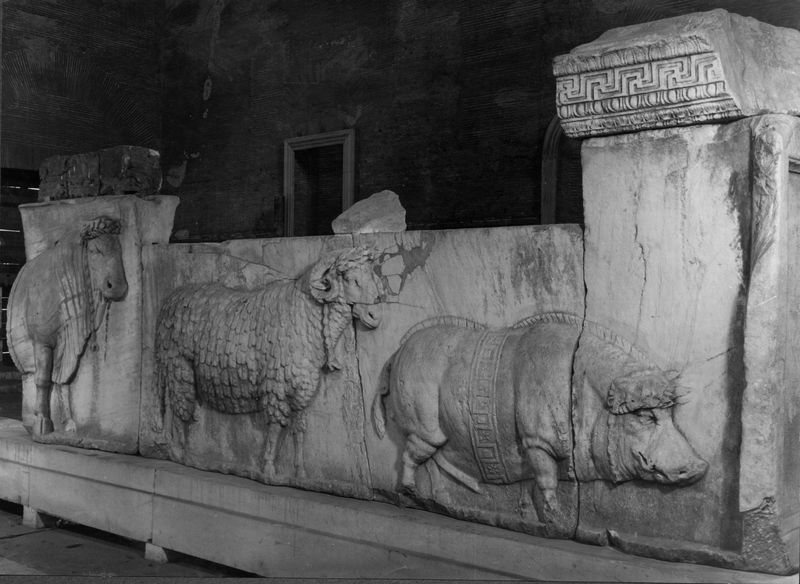 015868 - monumento - Foro Romano, Plutei di Traiano, il rilievo con il condono dei debiti, gli animali del sacrificio, ripresa all'interno della Curia (foto Accademia Americana); senza negativo