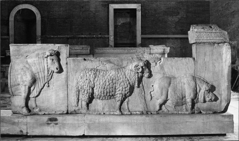 015870 - monumento - Foro Romano, Plutei di Traiano, il rilievo con il condono dei debiti, gli animali del sacrificio, ripresa all'interno della Curia; neg. serie 6x6, n. 4370