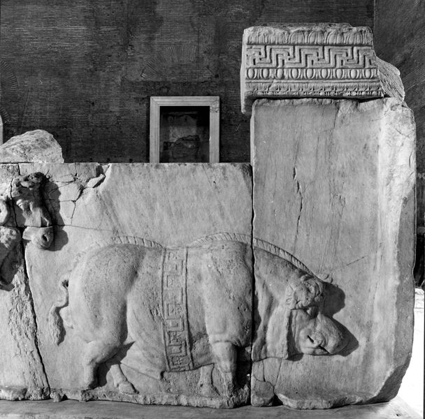 015871 - monumento - Foro Romano, Plutei di Traiano, il rilievo con il condono dei debiti, gli animali del sacrificio, particolare della parte destra ripresa all'interno della Curia; neg. serie 6x6, n. 4375