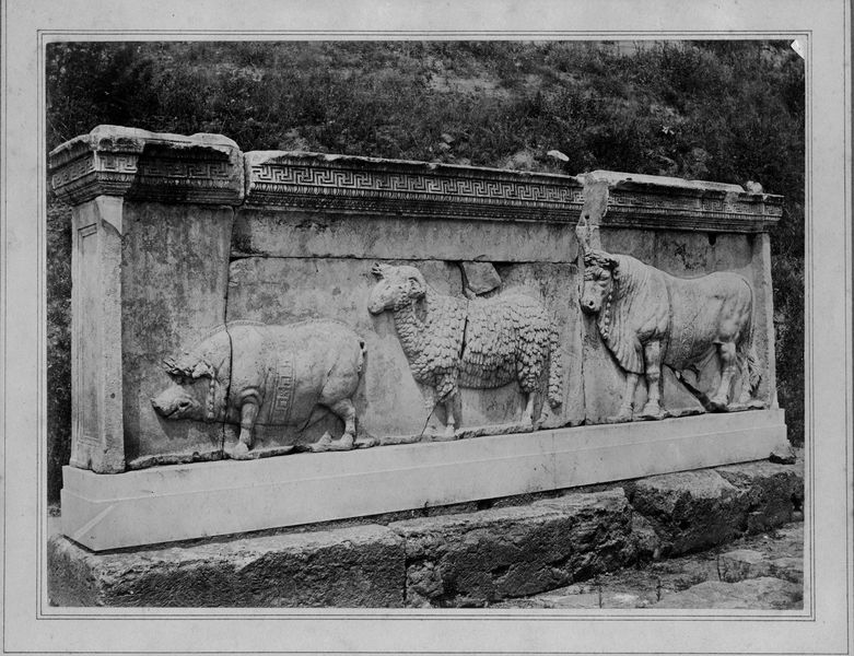 015905 - monumento - Foro Romano, Plutei di Traiano, il rilievo con l'institutio alimentaria, gli animali del sacrificio; senza negativo