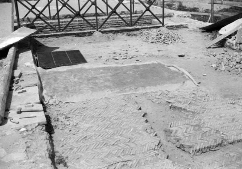 1-00032/ 08353/ 16800 - Roma - Palatino - Domus Transitoria