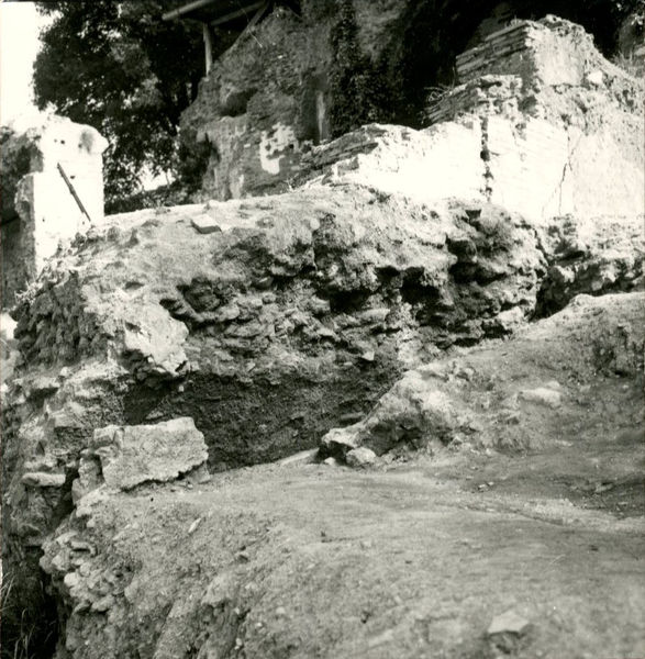 C002189 - monumento - Colosseo, veduta del prospetto settentrionale, dopo la nevicata del febbraio 1986; neg. serie L, n. 280
