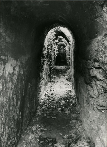 C002239 - restauro - Colosseo, primo ordine, ingresso nord, documentazione stato di incuria, 1985; neg. serie L, n. 300