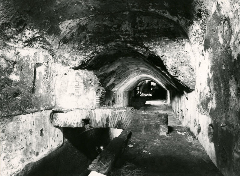 C002248 - restauro - Colosseo, settore sud, primo ordine, documentazione dello stato di incuria, 1985; neg. serie L, n. 300