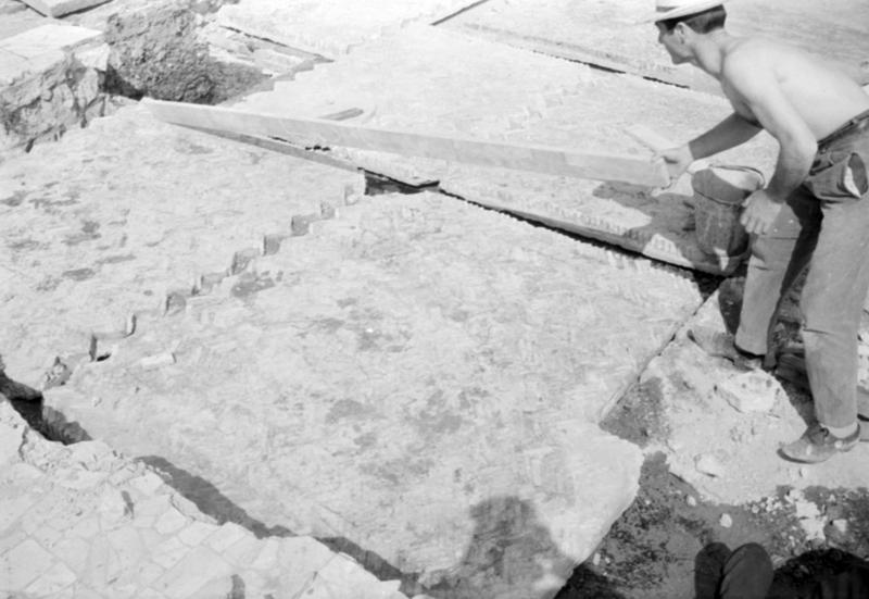 1-00033/ 08463/ 16801 - Roma - Palatino - Domus Transitoria