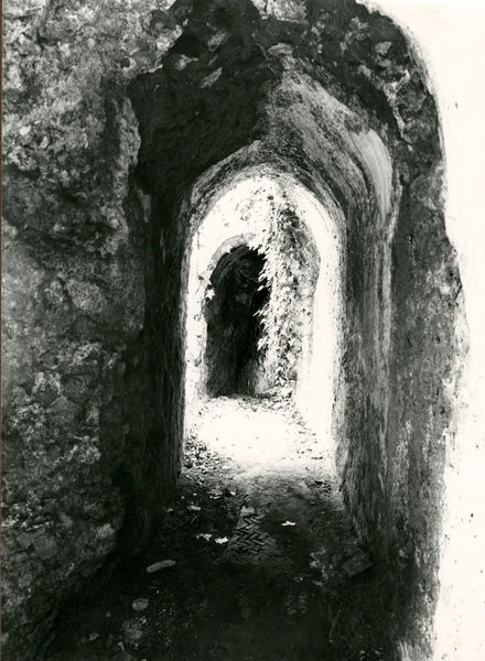 C002250 - restauro - Colosseo, settore sud, primo ordine, documentazione dello stato di incuria, 1985; neg. serie L, n. 300
