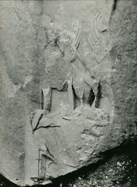 C002253 - restauro - Colosseo, settore sud, primo ordine, documentazione dello stato di incuria, 1985; neg. serie L, n. 300
