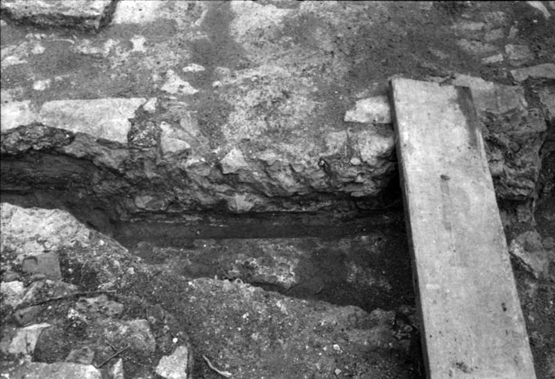 1-00034/ 08481/ 16802 - Roma - Palatino - Terme Severiane