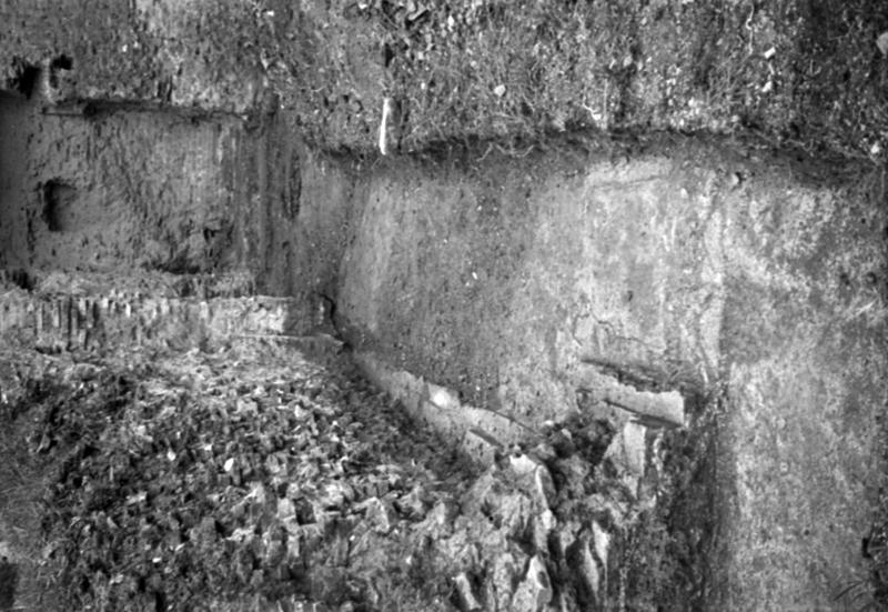 1-00035/ 08518/ 16803 - Roma - Palatino - Terme Severiane