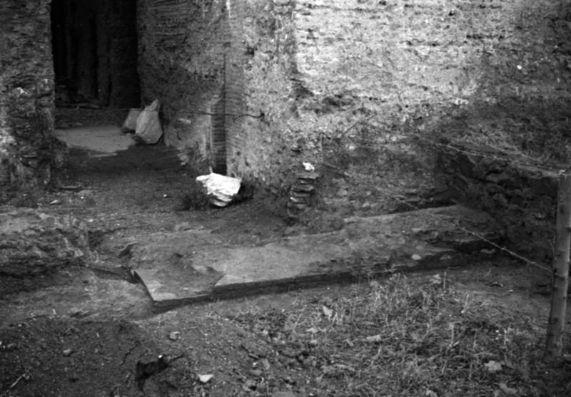 1-00035/ 08518/ 16803 - Roma - Palatino - Terme Severiane