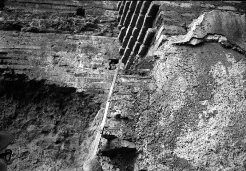 1-00035/ 08518/ 16803 - Roma - Palatino - Terme Severiane
