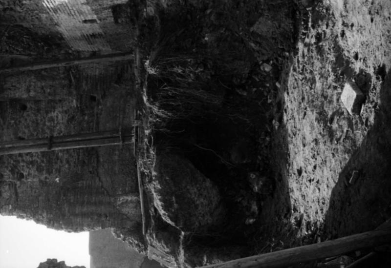 1-00035/ 08518/ 16803 - Roma - Palatino - Terme Severiane