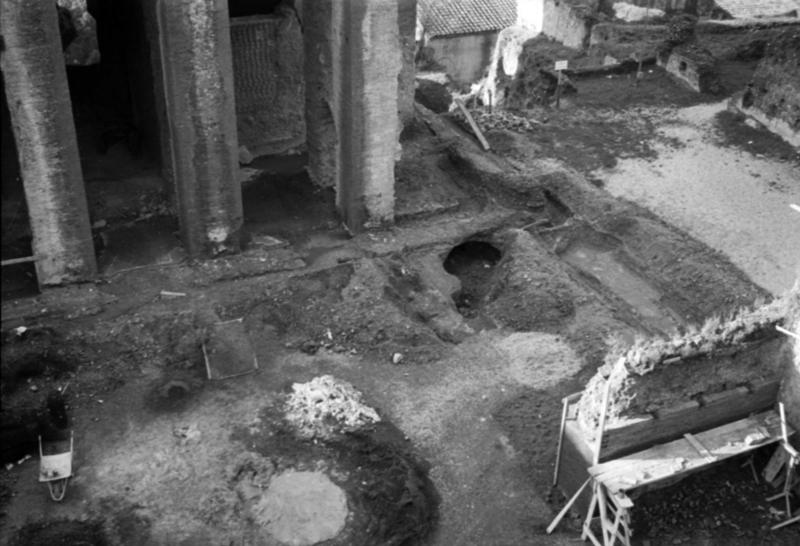 1-00035/ 08518/ 16803 - Roma - Palatino - Terme Severiane