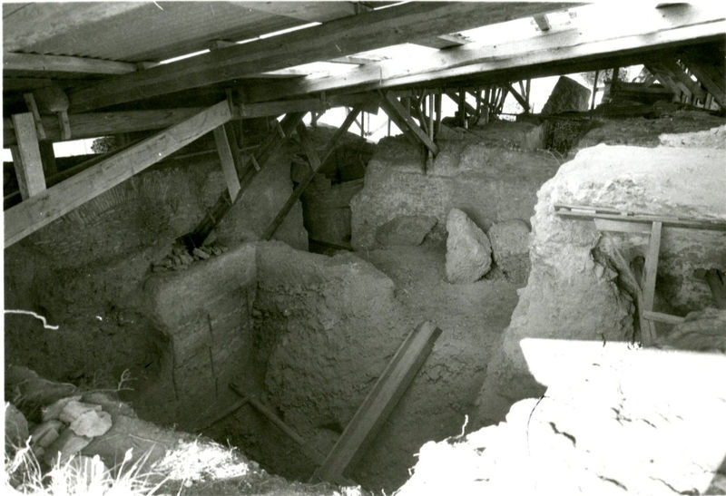 C002162 - restauro - Colosseo, ingresso nord, primo ordine, particolare di alcuni riquadri della decorazione in stucco presente sull'intradosso della volta durante il restauro (foto 21/07/1986); neg. serie L, n. A10
