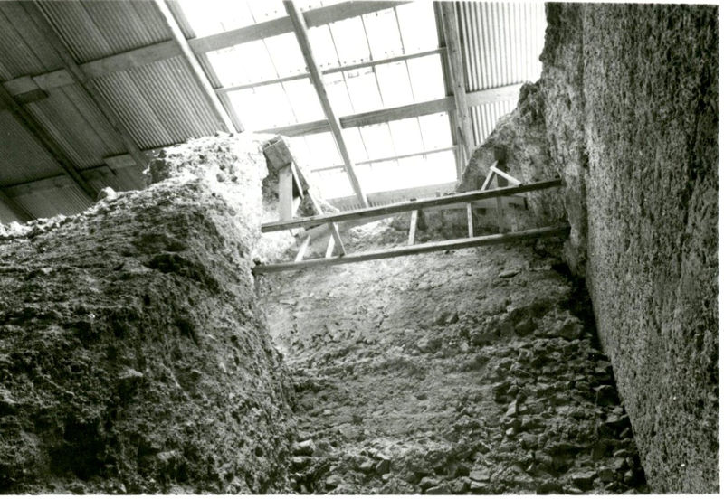 C002163 - restauro - Colosseo, ingresso nord, primo ordine, particolare dell'intradosso della volta con decorazione in stucco durante il restauro; neg. serie L, n. A2 