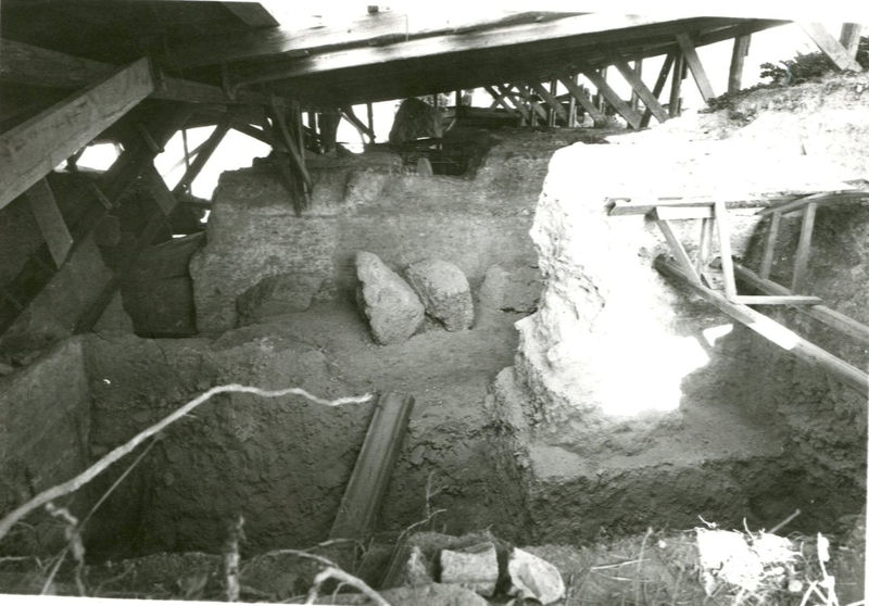 C002165 - restauro - Colosseo, ingresso nord, primo ordine, particolare di un riquadro della decorazione in stucco presente sull'intradosso della volta durante il restauro (foto 1986); neg. serie L, n. A6