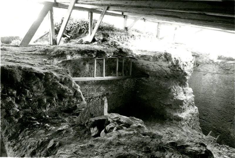 C002167 - restauro - Colosseo, ingresso nord, primo ordine, particolare di alcuni riquadri della decorazione in stucco presente sull'intradosso della volta durante il restauro (foto 21/07/1986); neg. serie L, n. A11