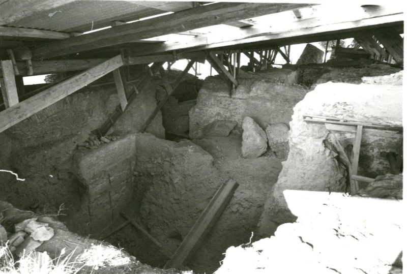 C002168 - restauro - Colosseo, ingresso nord, primo ordine, particolare di alcuni riquadri della decorazione in stucco presente sull'intradosso della volta durante il restauro (foto 21/07/1986); neg. serie L, n. A12
