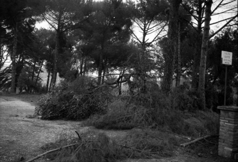 1-00036/ 08576/ 16804 - Roma - Palatino