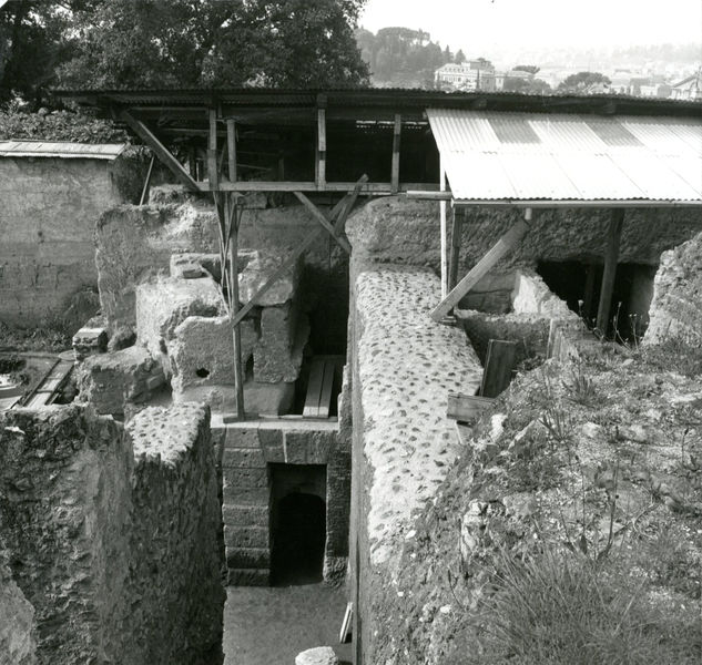 C002295 - restauro - Colosseo, ingresso nord, primo ordine, particolare della decorazione in stucco presente sull'intradosso della volta durante il restauro (foto 22/07/1986); neg. serie L, n. A 29
