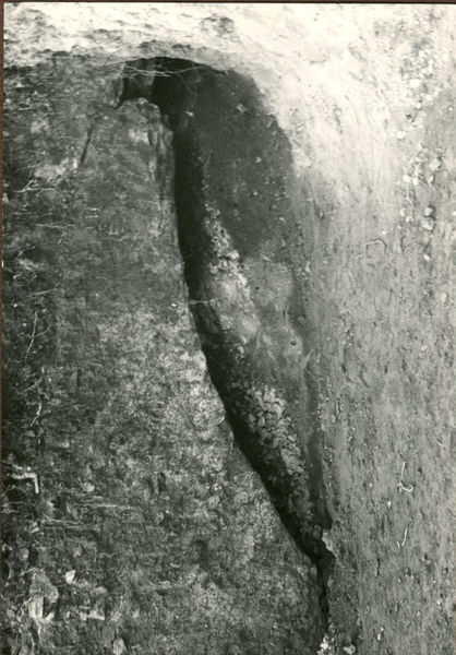 C002307 - restauro - Colosseo, ingresso nord, primo ordine, particolare della decorazione in stucco presente sull'intradosso della volta durante il restauro (foto 22/07/1986); neg. serie L, n. A 41