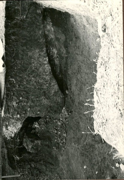 C002308 - restauro - Colosseo, ingresso nord, primo ordine, particolare della decorazione in stucco presente sull'intradosso della volta durante il restauro (foto 22/07/1986); neg. serie L, n. A 42