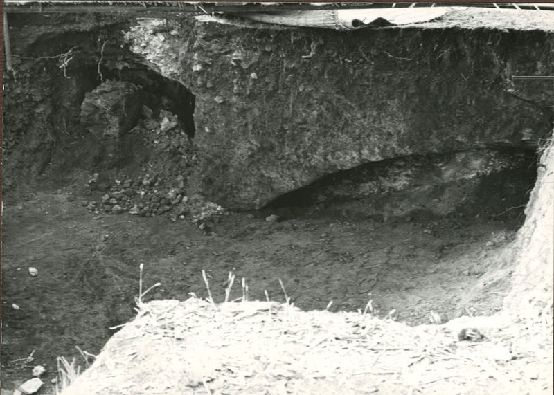 C002310 - restauro - Colosseo, ingresso nord, primo ordine, particolare della decorazione in stucco presente sull'intradosso della volta durante il restauro (foto 22/07/1986); neg. serie L, n. A 44