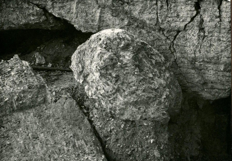 C002314 - monumento - Colosseo, ipogei, galleria occidentale, veduta del Antiquarium allestito al interno della galleria; neg. serie L, n. A 51