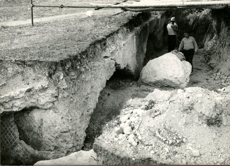 C002315 - monumento - Colosseo, ipogei, veduta da est; neg. serie L, n. A 51