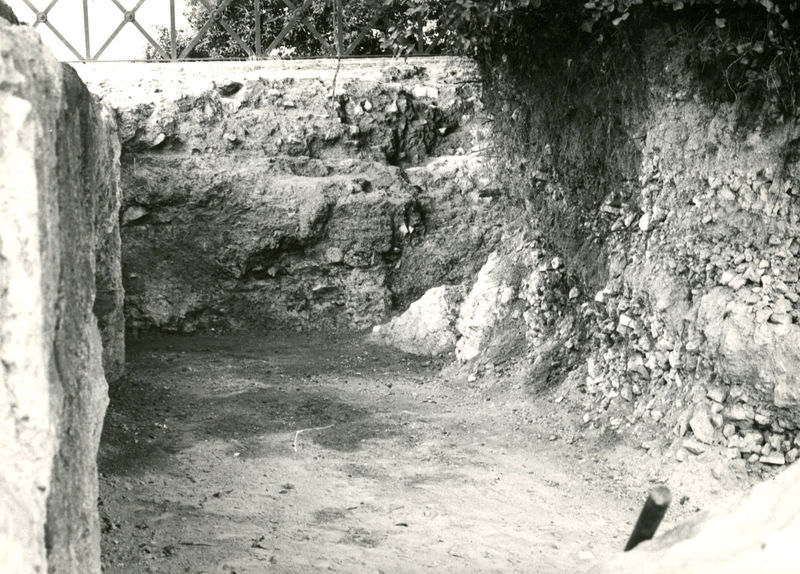 C002316 - monumento - Colosseo, ipogei, veduta da ovest; neg. serie I, n. 117