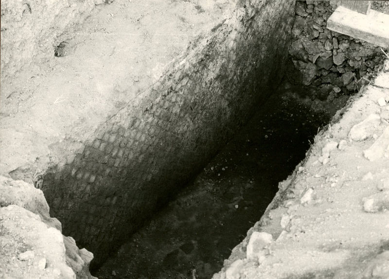 C002320 - monumento - Colosseo, ipogei, settore sud, veduta di alcuni corridoi; neg. serie L, n. a 116