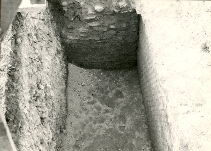 C002321 - elaborato grafico - Veduta da ovest dell'interno del Colosseo (Incisione di Agostino Penna (1827),  Istituto Nazionale d'archeologia e storia dell'arte - Collezione Lanciani; neg. serie L, n. A 363 (Roma XI.2.22)