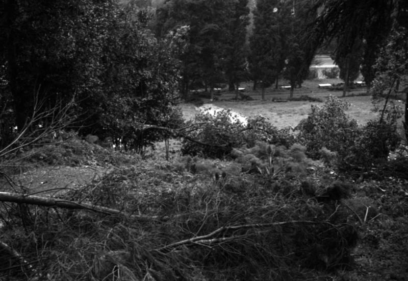 1-00036/ 08576/ 16804 - Roma - Palatino