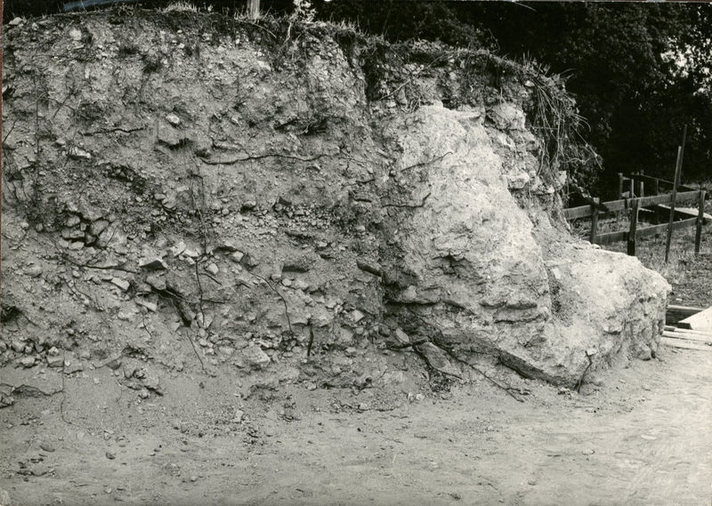 C002331 - monumento - Veduta da est dell'interno del Colosseo, l'area dei sotterranei e versante sud-ovest della Cavea; neg. serie L, n. A 55