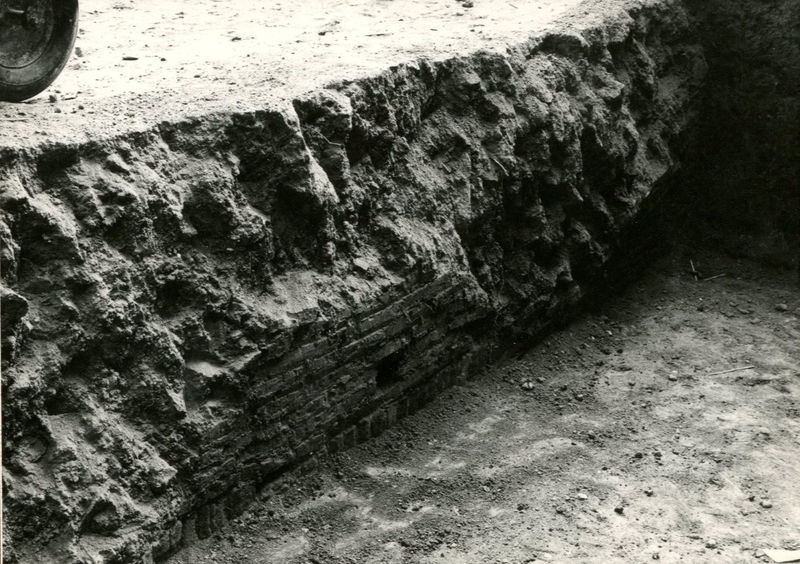 C002352 - monumento - Colosseo, veduta del prospetto meridionale dal Celio (foto 1977)