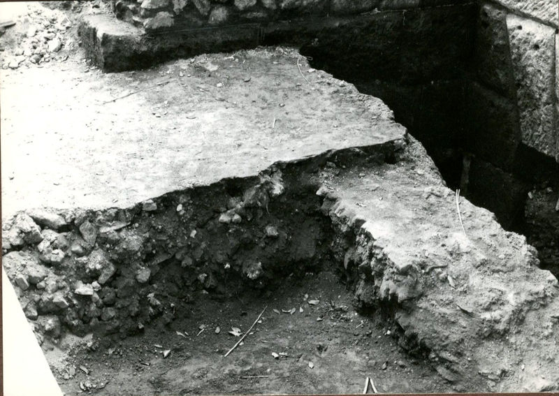 C002355 - monumento - Colosseo, veduta del prospetto meridionale dal Celio (foto 1977)