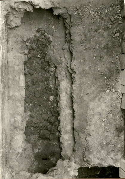 C002373 - monumento - Colosseo, veduta dall'alto del versante nord della cavea; neg. serie L, n. A 94