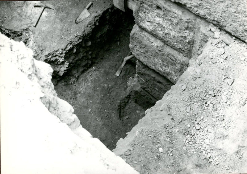 C002397 - monumento - Colosseo, veduta del prospetto sud-ovest dal Palatino (foto 1979); neg. serie L, n. A 121
