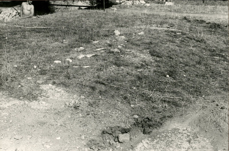 C002477 - reperto - Colosseo, ipogei, collettore est, moneta dallo strato I B; neg. serie L, n. A 231