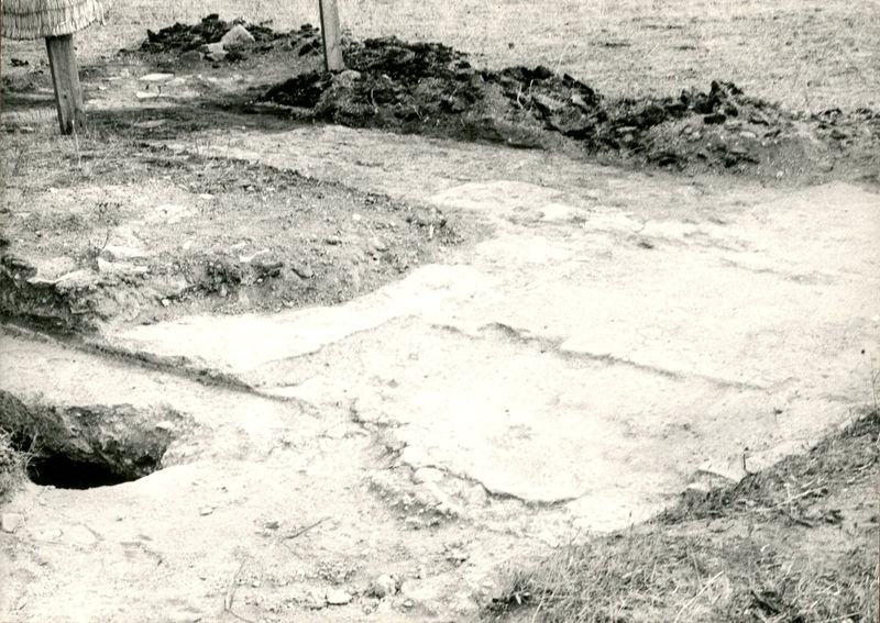 C002478 - reperto - Colosseo, ipogei, collettore est, moneta dallo strato I B; neg. serie L, n. A 231