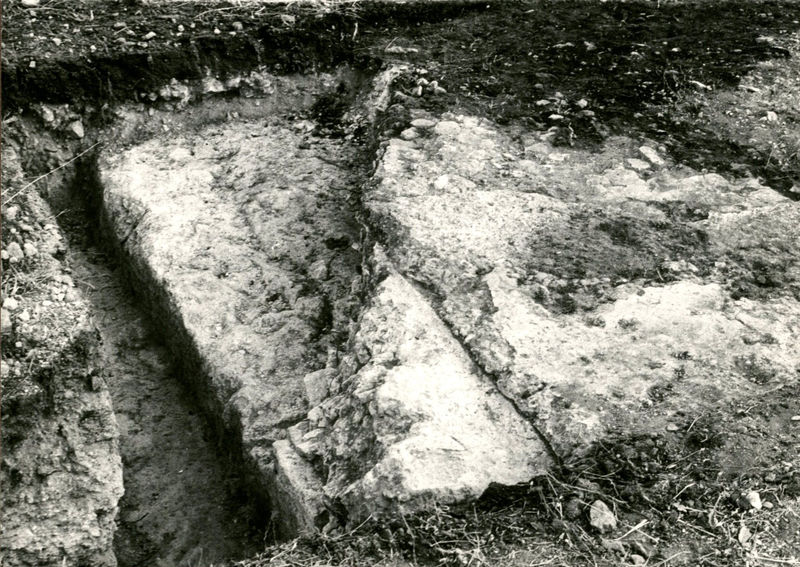 C002479 - reperto - Colosseo, ipogei, collettore est, moneta dallo strato II B; neg. serie L, n. A 231