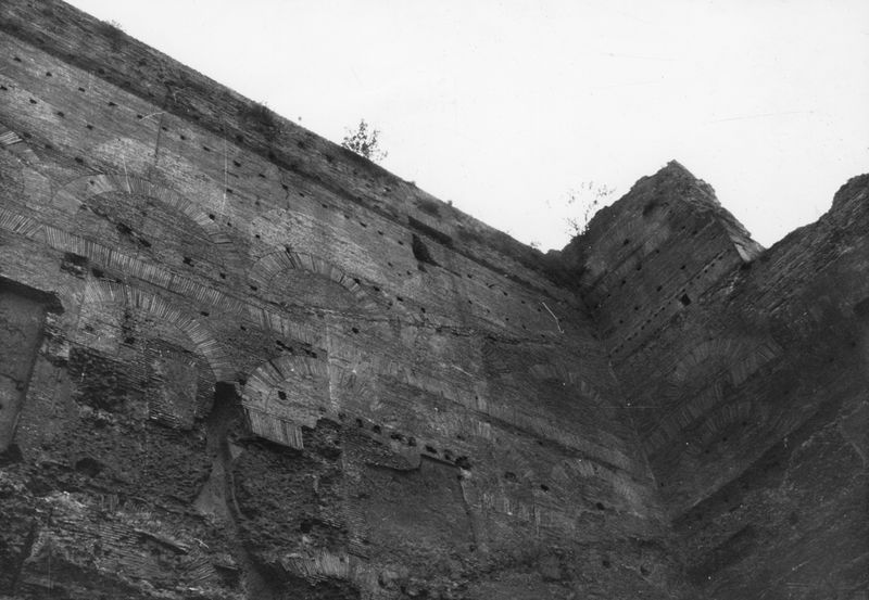 022048 - restauro - Foro Romano, c.d. Tempio di Augusto, sommitÃ  delle pareti prima del diserbo (1963); senza negativo