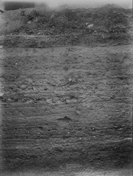 013766 - scavo archeologico - Foro Romano,Equus Domitiani,  esplorazioni stratigrafiche, parte della sezione; neg. serie C, n. 201
