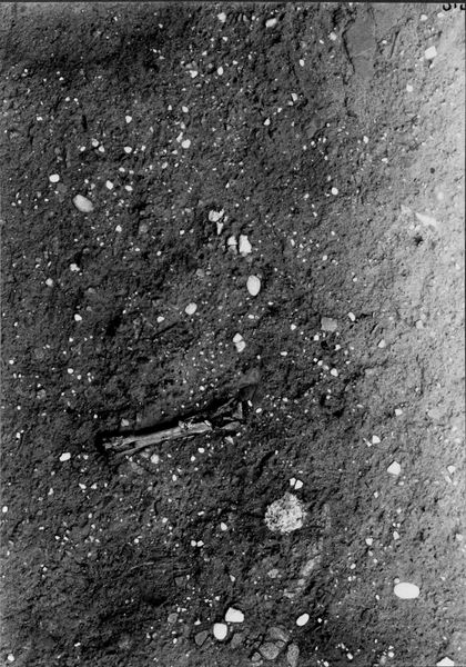 013768 - scavo archeologico - Foro Romano,Equus Domitiani,  esplorazioni stratigrafiche, strato VII, pavimento repubblicano del Foro; neg. serie F, n. 313