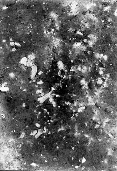 013769 - scavo archeologico - Foro Romano,Equus Domitiani,  esplorazioni stratigrafiche, strato VIII, (terra, ghiaia, cocci e ossa); neg. serie F, n. 314