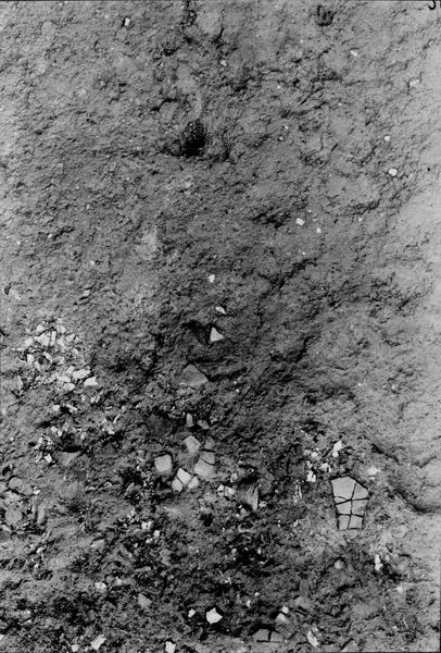 013770 - scavo archeologico - Foro Romano,Equus Domitiani,  esplorazioni stratigrafiche, strato IX; neg. serie F, n. 315
