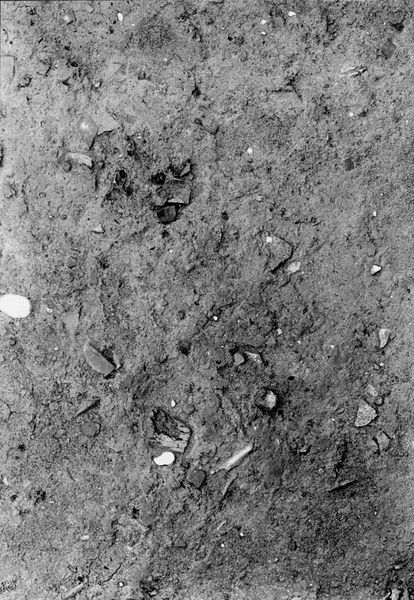013771 - scavo archeologico - Foro Romano,Equus Domitiani,  esplorazioni stratigrafiche, strato X; neg. serie F, n. 278