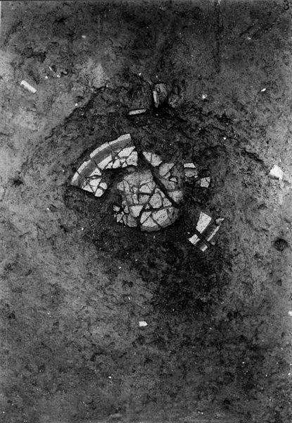 013773 - scavo archeologico - Foro Romano,Equus Domitiani,  esplorazioni stratigrafiche, strato XII, (frammenti di un grosso catino); neg. serie F, n. 316