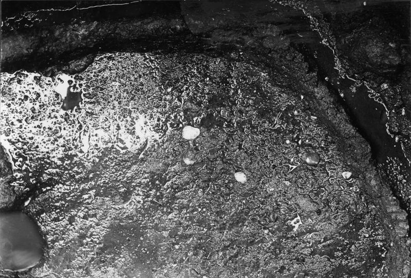 013792 - scavo archeologico - Foro Romano,Equus Domitiani,  esplorazioni stratigrafiche, strato XXVIII; neg. serie F, n. 358